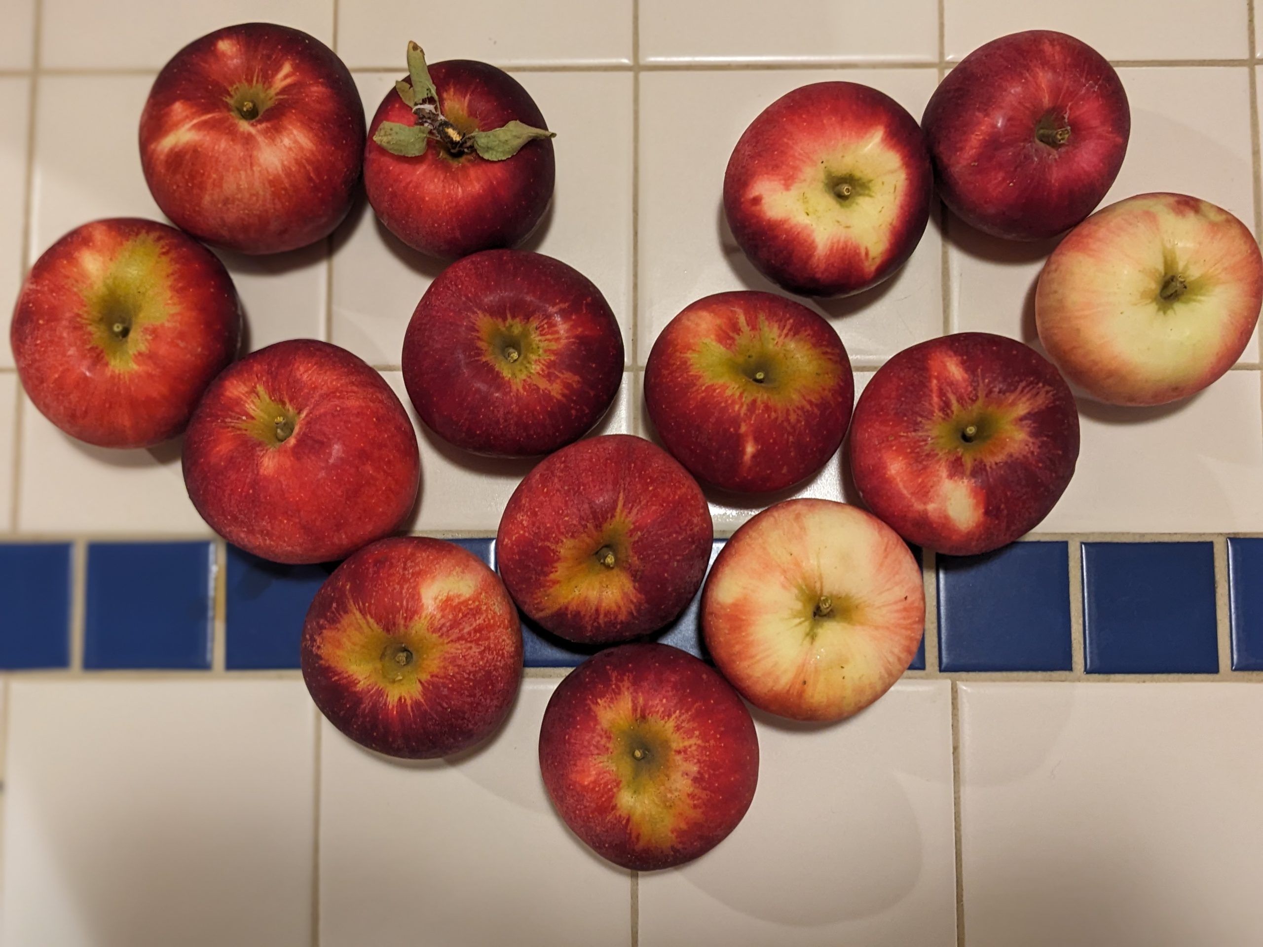 apples in the shape of a heart on a kitchen counter